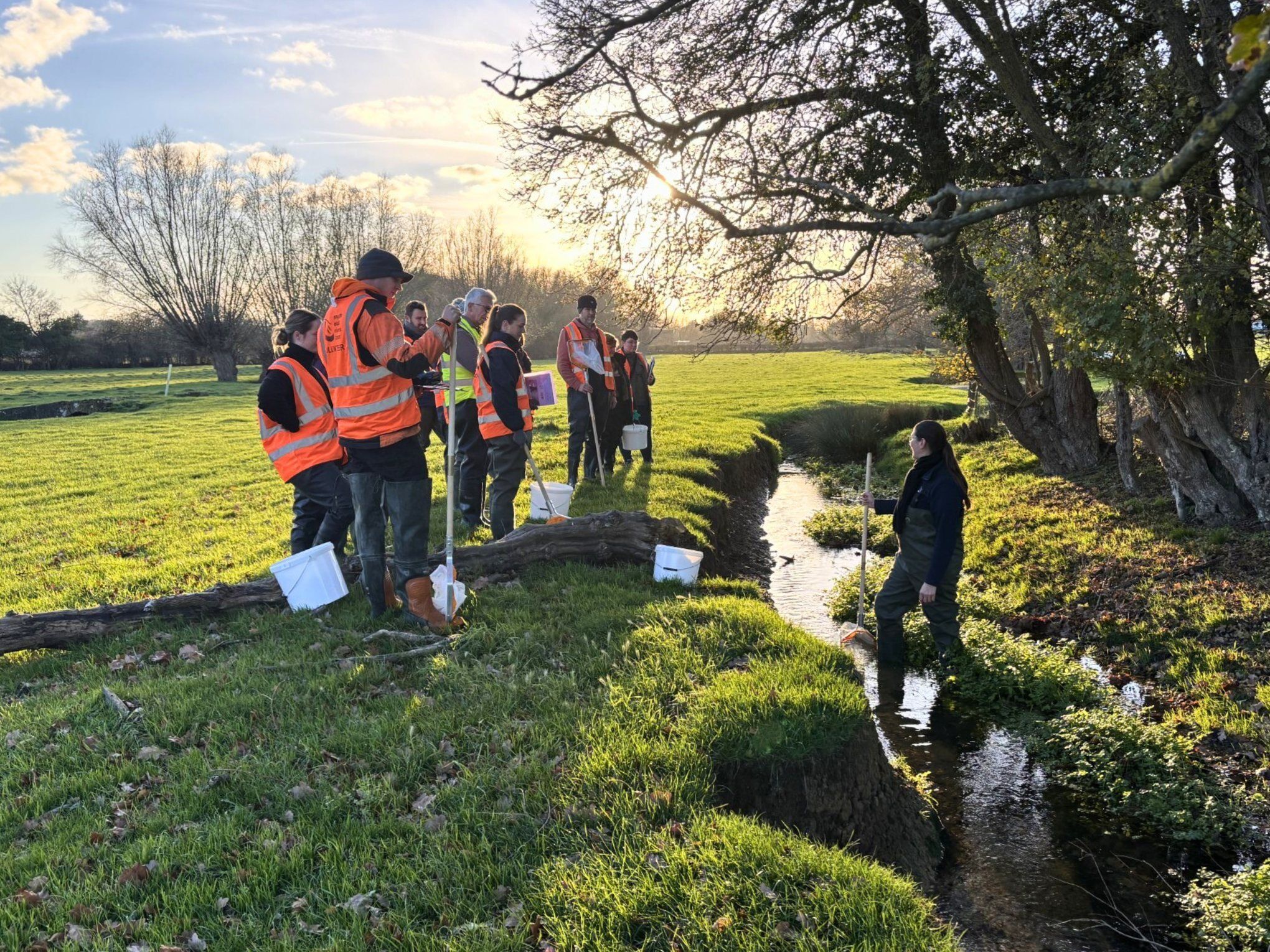 A group of people wearing orange high vis vests standing on a river bank and looking onto a stream where an instructor holding a net is standing.